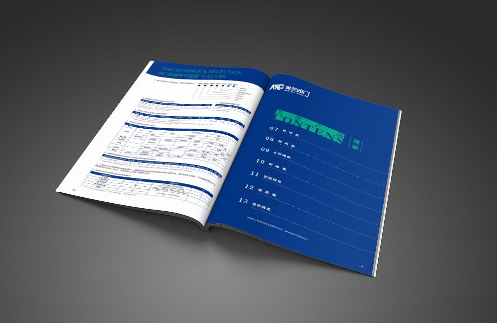 美茨閥門畫(huà)冊(cè)設(shè)計(jì)